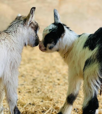 144 Celebrity Dairy Way, Siler City, NC 27344