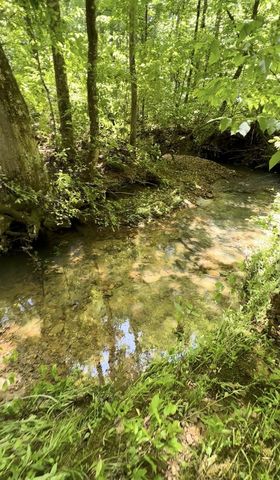 233 Taylor Lake Rd, Morrison, TN 37357