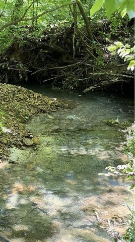 233 Taylor Lake Rd, Morrison, TN 37357