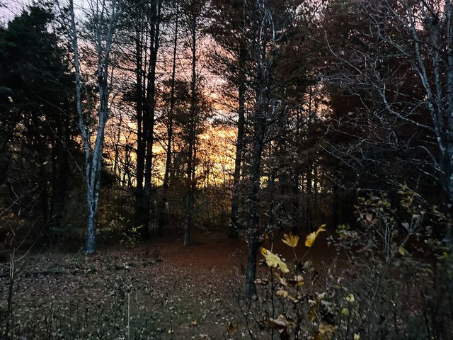 233 Taylor Lake Rd, Morrison, TN 37357