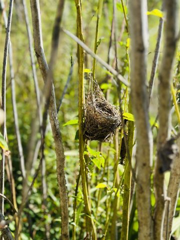 233 Taylor Lake Rd, Morrison, TN 37357