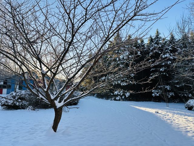 233 Taylor Lake Rd, Morrison, TN 37357