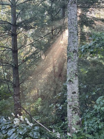 233 Taylor Lake Rd, Morrison, TN 37357