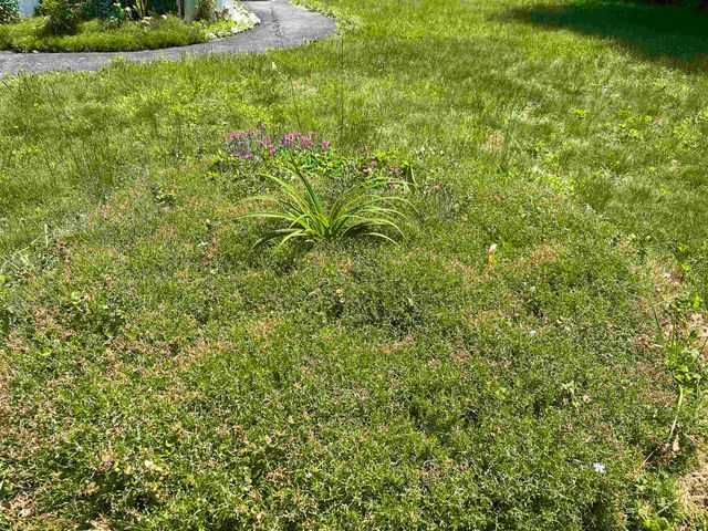 34 Water Street, Rutland City, VT 05701