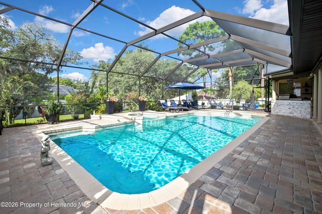 13162 Roseanna Drive, Spring Hill, FL 34609
