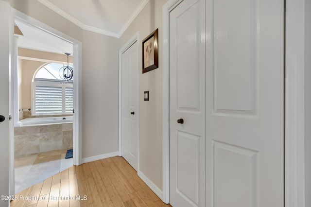 13162 Roseanna Drive, Spring Hill, FL 34609