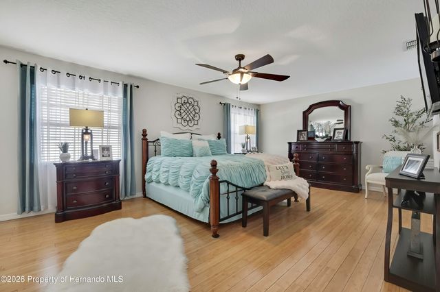 13162 Roseanna Drive, Spring Hill, FL 34609