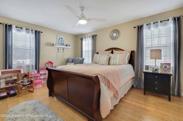 13162 Roseanna Drive, Spring Hill, FL 34609