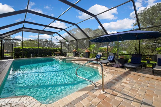 13162 Roseanna Drive, Spring Hill, FL 34609