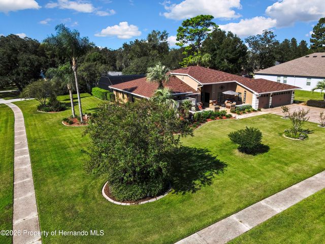 13162 Roseanna Drive, Spring Hill, FL 34609