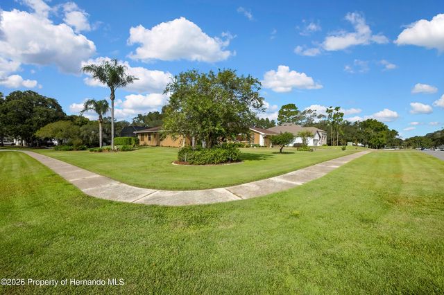 13162 Roseanna Drive, Spring Hill, FL 34609