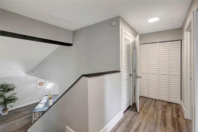 16133 RAVENDALE DRIVE, Tampa, FL 33618