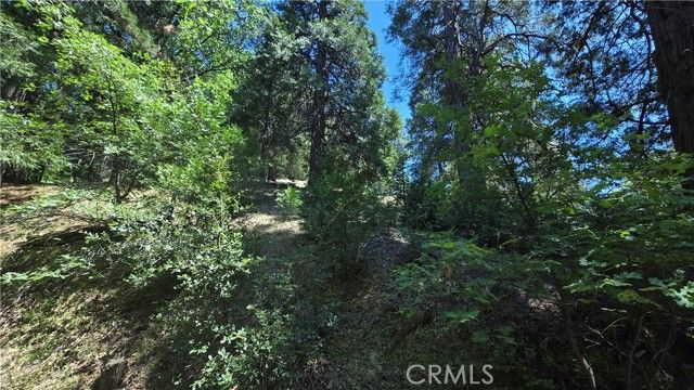 22494 Mojave River Road, Cedarpines Park, CA 92322