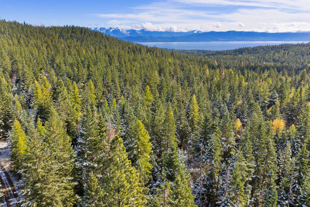 1428 Bierney Creek Road, Lakeside, MT 59922 photo 4