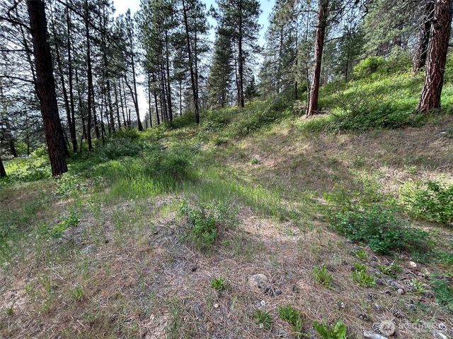 0 xxx W 6th Street, Cle Elum, WA 98922