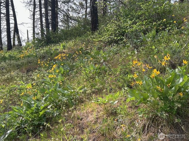 0 xxx W 6th Street, Cle Elum, WA 98922