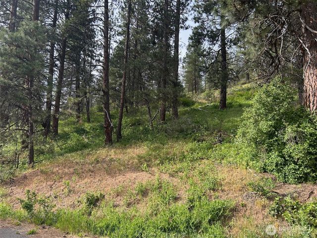 0 xxx W 6th Street, Cle Elum, WA 98922