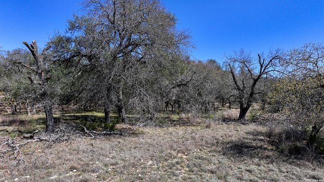 34776 High Gate, Bulverde, TX 78163