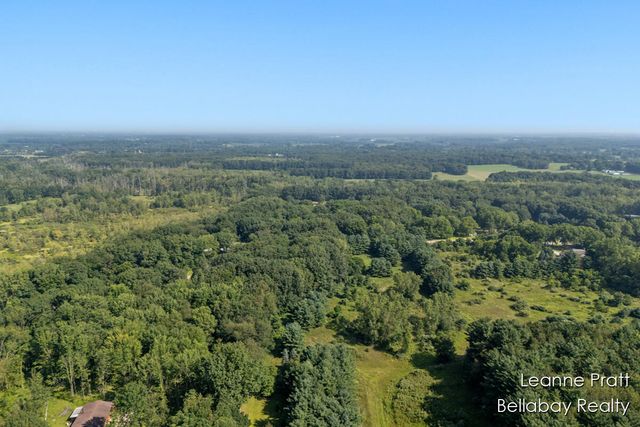 4450 Hicks Highway, Olivet, MI 49076