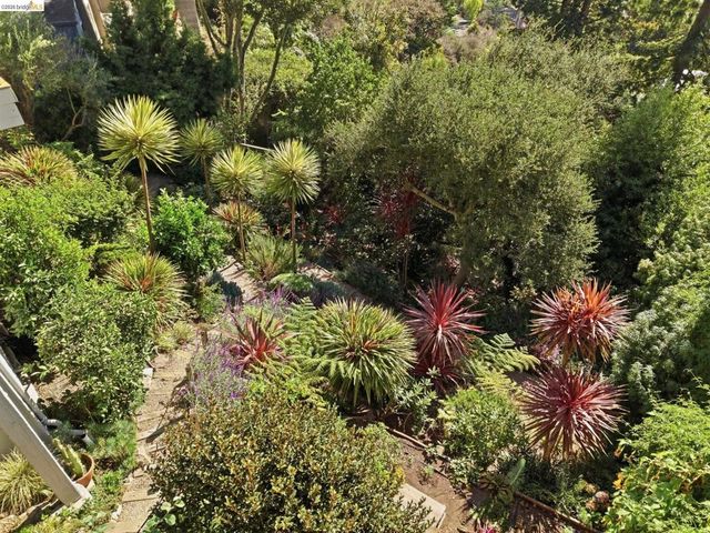 2877 Buena Vista Way, Berkeley, CA 94708