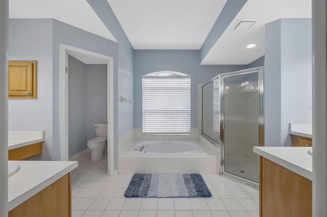 28703 CROOKED STICK COURT, Wesley Chapel, FL 33543