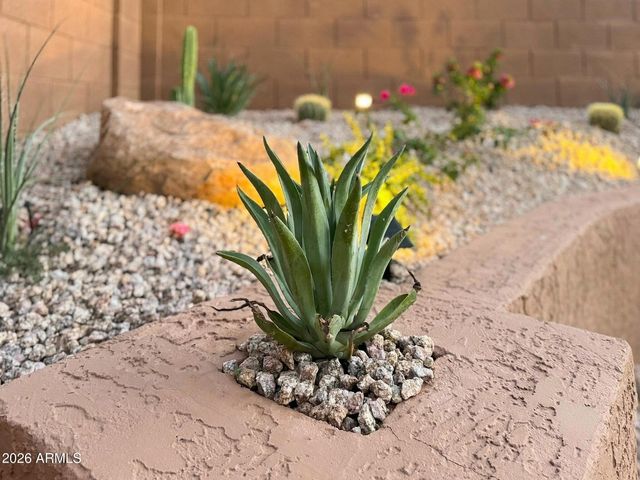 1337 E STIRRUP Lane, San Tan Valley, AZ 85143