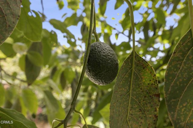 4712 Templeton Street, Ventura, CA 93003