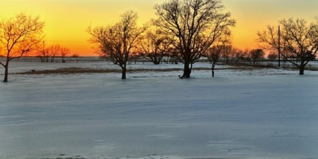 3530 Southmayd Road, Whitesboro, TX 76273