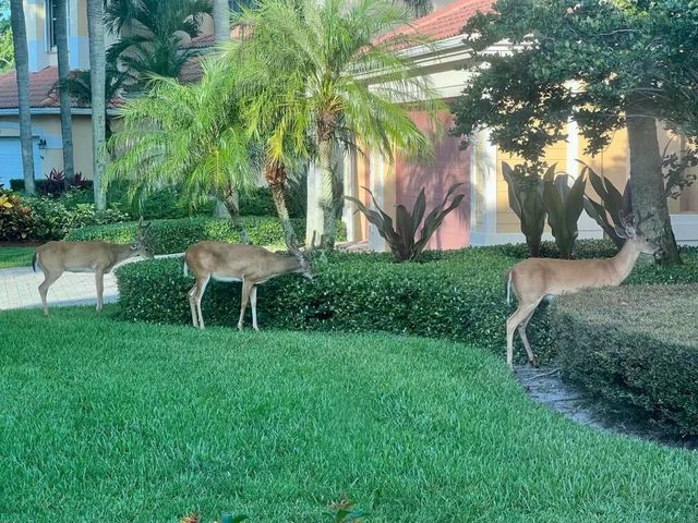 19189 Tamara Lane, Jupiter, FL 33458