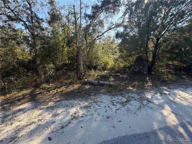 7360 W Chassahowitzka Street, Homosassa, FL 34448