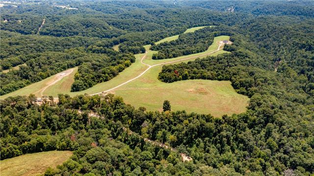 Neon Sky Drive Parcel 3, Pineville, MO 64856