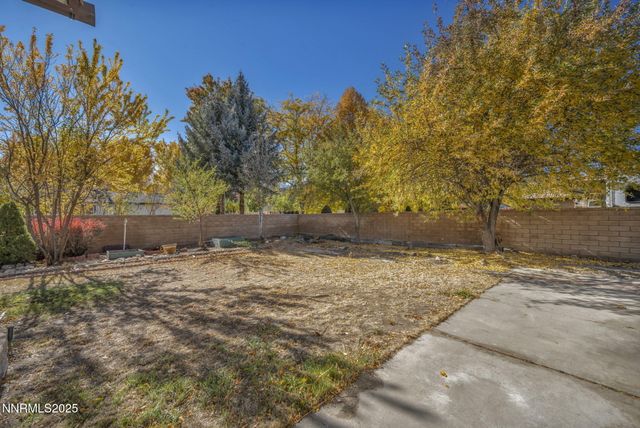1670 Belarra Drive, Minden, NV 89423