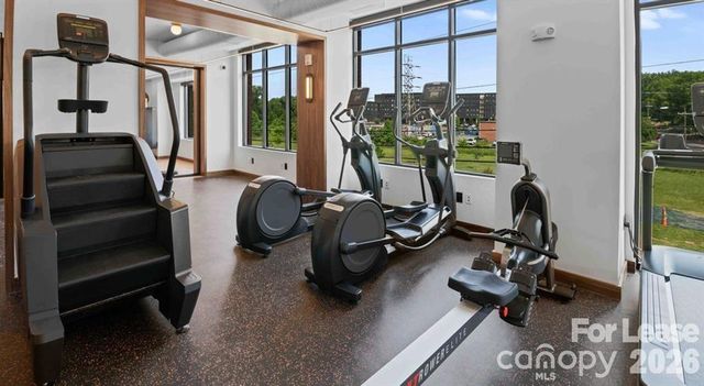 300 E 36th Street A3, Charlotte, NC 28206