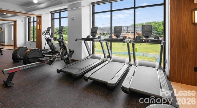 300 E 36th Street A3, Charlotte, NC 28206