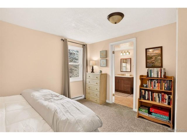 626 Aspen Ln, Bailey, CO 80421