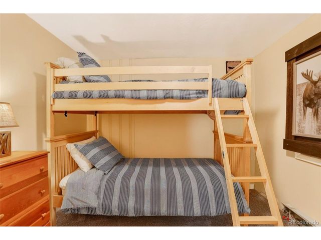 626 Aspen Ln, Bailey, CO 80421