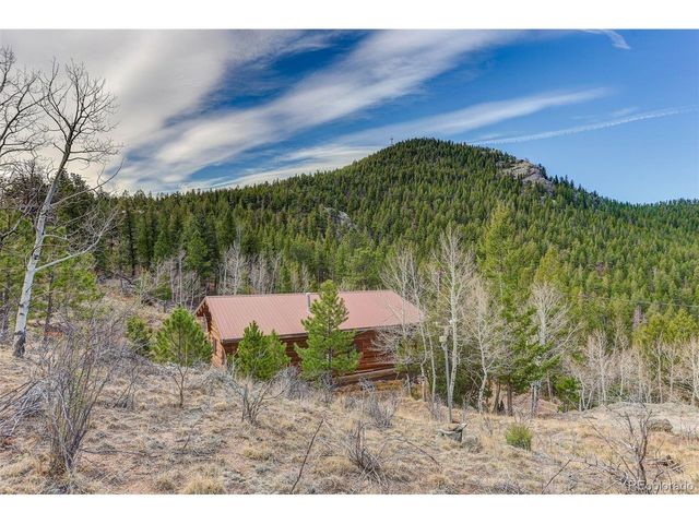 626 Aspen Ln, Bailey, CO 80421
