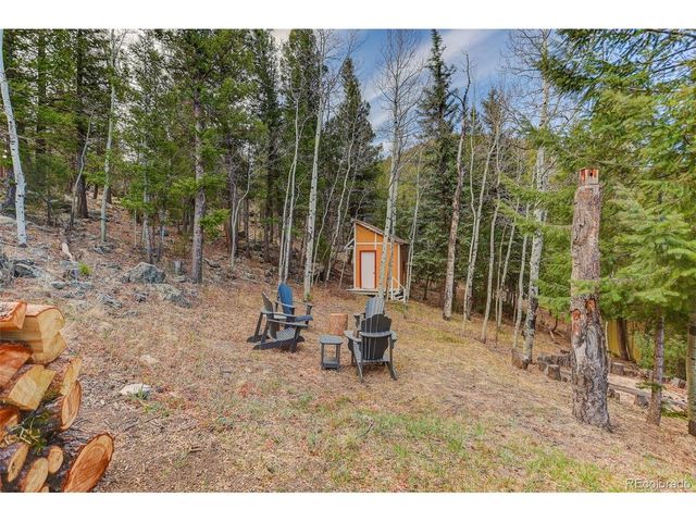 626 Aspen Ln, Bailey, CO 80421