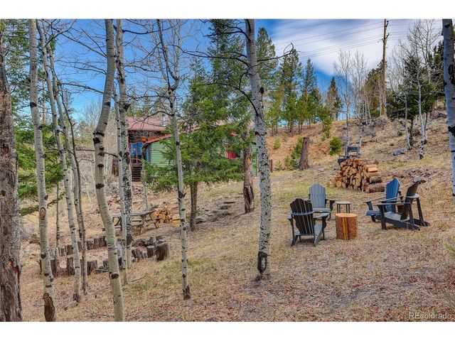 626 Aspen Ln, Bailey, CO 80421