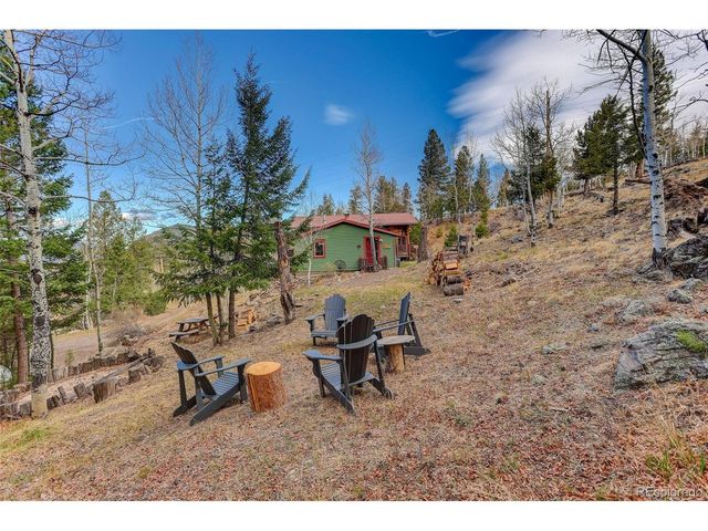 626 Aspen Ln, Bailey, CO 80421