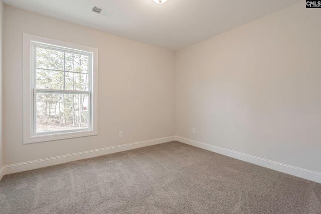 231 Boseman Road, Irmo, SC 29063