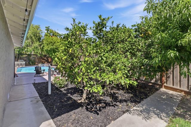 1519 Peregrino Way, San Jose, CA 95125