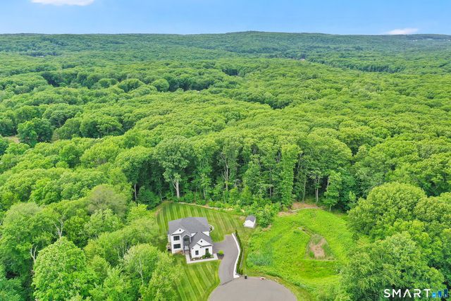 56 Stone House Lane, Burlington, CT 06013