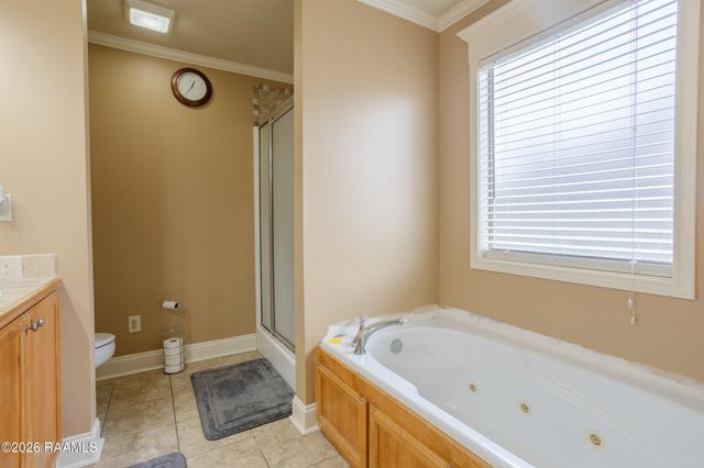 301 Magnolia Knee Drive, Carencro, LA 70520