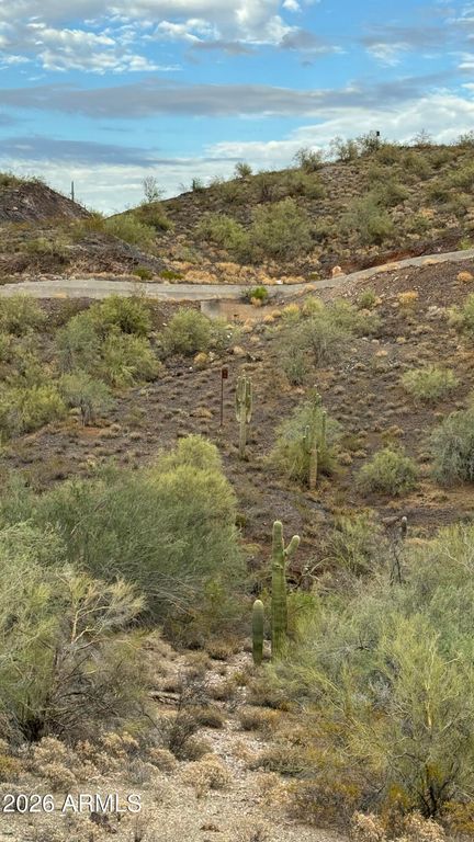 40121 N QUINTERO Lane 48, Morristown, AZ 85342 — photo 4