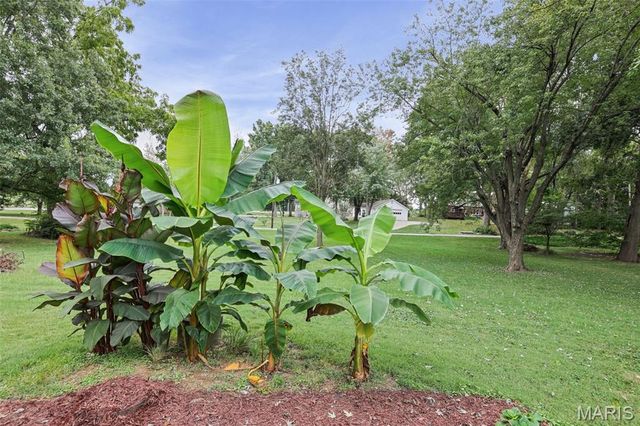 50 Will Vina Drive, Collinsville, IL 62234