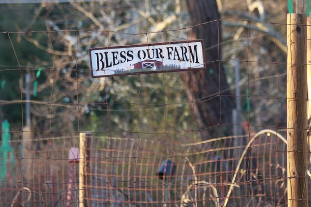 709 Cole Rd, Meadow Vista, CA 95722