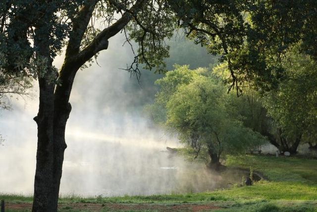 709 Cole Rd, Meadow Vista, CA 95722