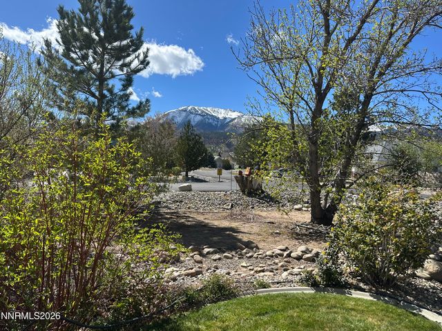 350 Old Washoe Circle, Washoe Valley, NV 89704