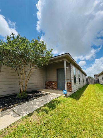 12318 Skyview Rise Court Court, Houston, TX 77047